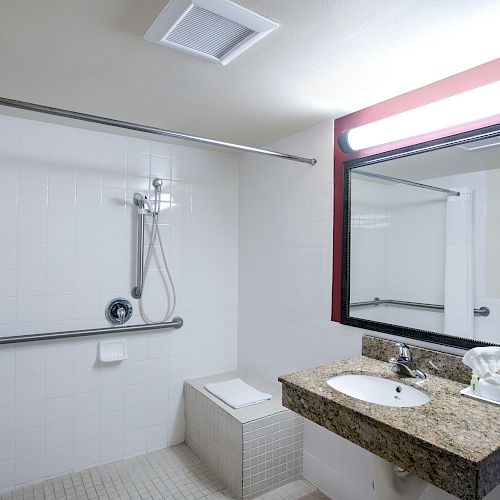 The image shows a bathroom with a shower area, grab bars, shower curtain, a sink with a countertop, mirror with light, and a tissue box.