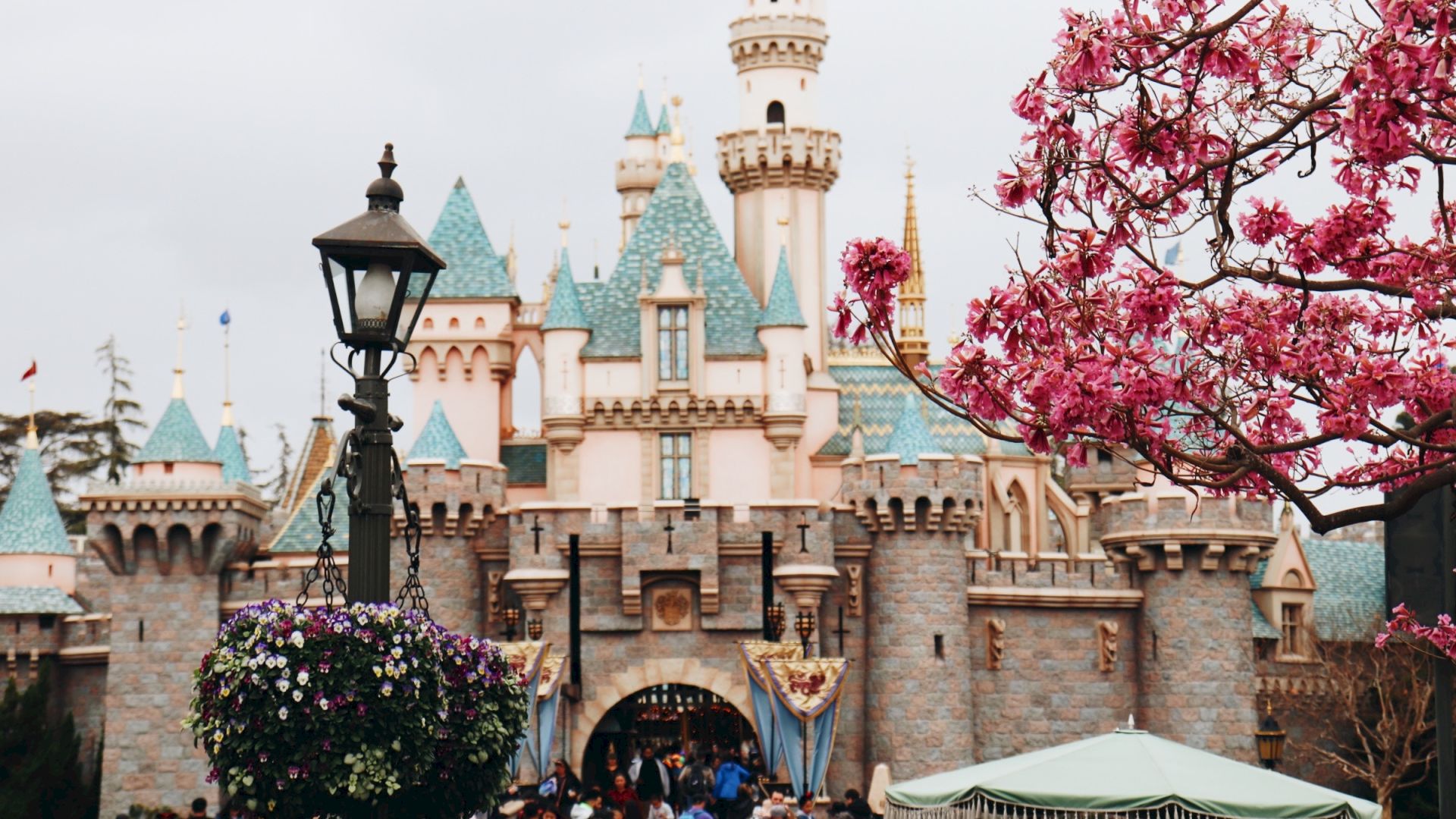 This image shows a large group of people in front of a fairy-tale castle with blue rooftops, near blooming pink trees and a vintage street lamp.