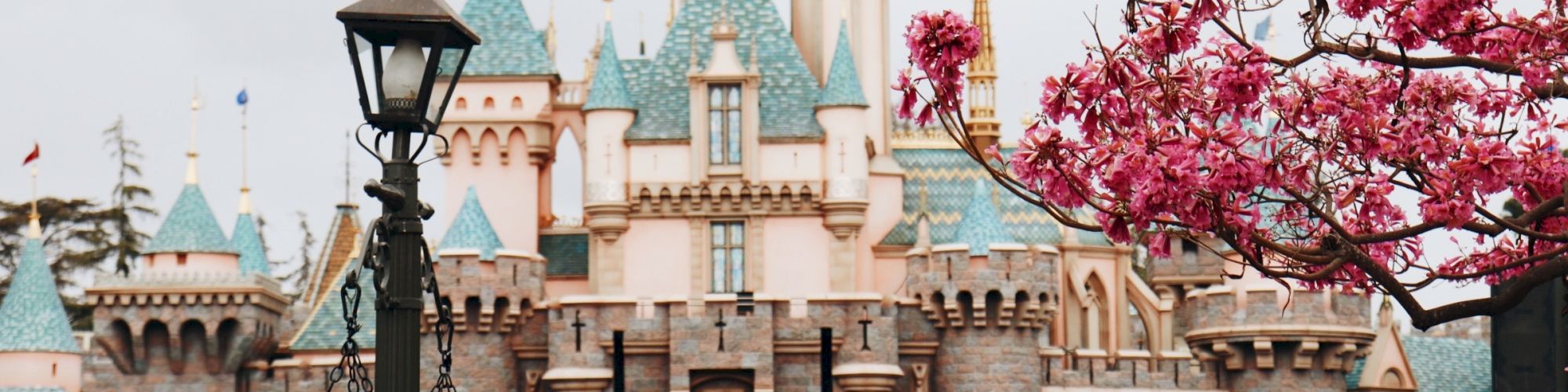 This image shows a large group of people in front of a fairy-tale castle with blue rooftops, near blooming pink trees and a vintage street lamp.